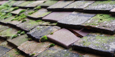 Gobowen roof repair costs